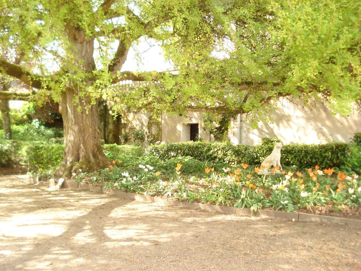 Bed and Breakfast Domaine De Planchoury Saint-Michel-sur-Loire Exterior foto